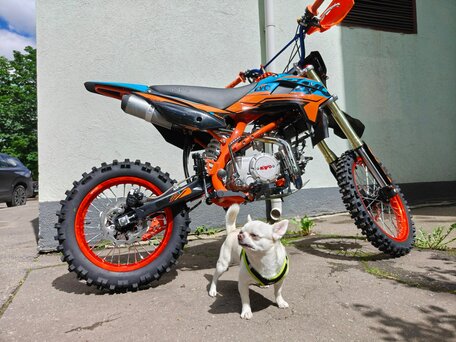 2025 Kayo Evolution YX140EM, синий, 86000 рублей, вид 1