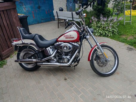2007 Harley-Davidson Softail Custom, красный, 679239 рублей, вид 5
