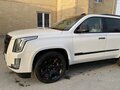 2016 Cadillac Escalade ESV IV, белый, 5500000 рублей - вид 1