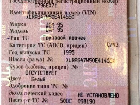 1995 DAF XF 95, белый, 750000 рублей, вид 3