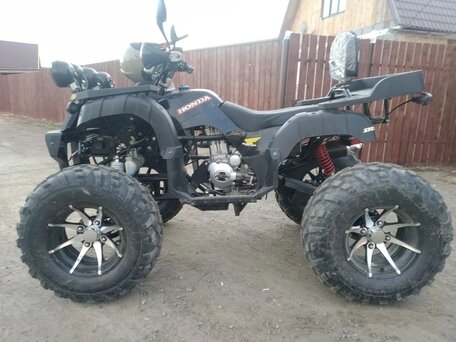 2021 Tiger Max Grade 300, чёрный, 210000 рублей, вид 4