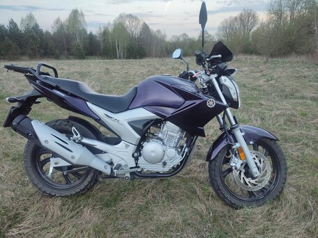 2016 Yamaha YS250 Fazer, фиолетовый, 280000 рублей, вид 4