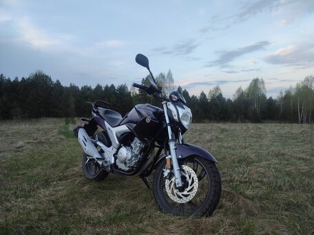 2016 Yamaha YS250 Fazer, фиолетовый, 280000 рублей, вид 1