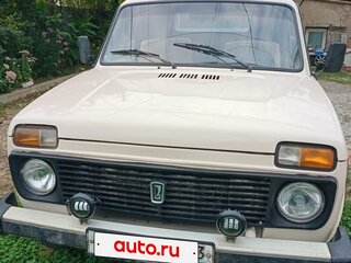 2009 Lada (ВАЗ) 2121 (4x4) I Рестайлинг, серый, 450000 рублей, вид 1