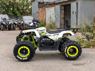 2026 Motoland Wild Track 200, чёрный, 166400 рублей, вид 1