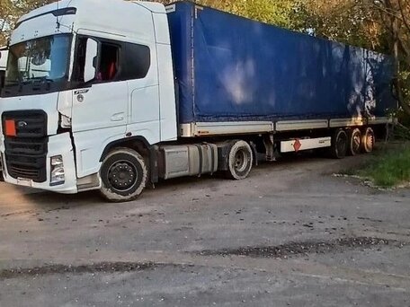 2019 Wielton NS 3 K, серый, 2500000 рублей, вид 2