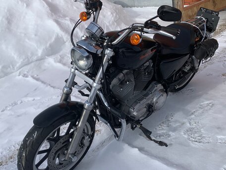 2014 Harley-Davidson Sportster 883, чёрный, 720000 рублей, вид 4