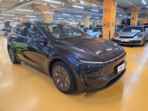 2026 Tesla Model Y Long Range I Рестайлинг, серый - вид 11