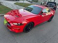 2021 Ford Mustang VI Рестайлинг, красный, 4200000 рублей - вид 3