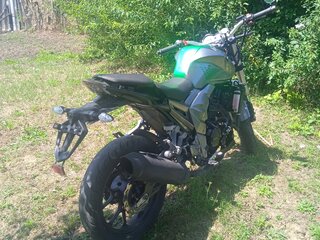 2020 Regulmoto T-Leopard 300, зелёный, 140000 рублей, вид 2