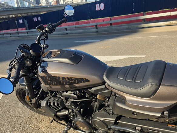 2024 Harley-Davidson Sportster S, коричневый - вид 19