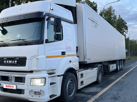 2015 КамАЗ 5490 NEO, белый, 1400000 рублей, вид 3