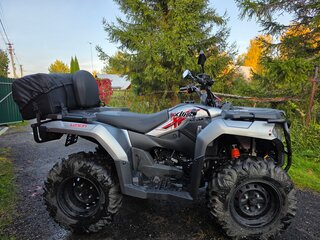 2026 Loncin XWolf 300 Max, серый, 400000 рублей, вид 4