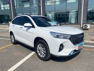 2021 Haval M6 Plus II, белый, 1250000 рублей, вид 2