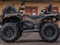 2026 Loncin XWolf 1000L Muddy, зелёный, 1399000 рублей