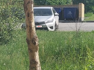 2013 Toyota Corolla XI (E160, E170, E180), серый, 1300000 рублей, вид 5