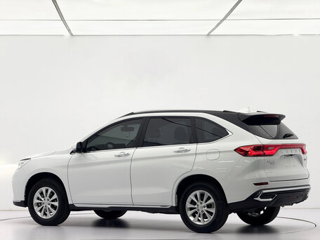 2023 Haval M6 Plus II, белый, 1200000 рублей, вид 4