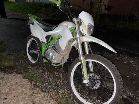 2023 Wels MX250R, белый, 60000 рублей, вид 4