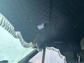 2014 ГАЗ ГАЗель Next, серый, 1000000 рублей - вид 8