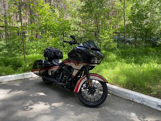 2019 Harley-Davidson Road Glide Special, коричневый, 2350000 рублей, вид 1