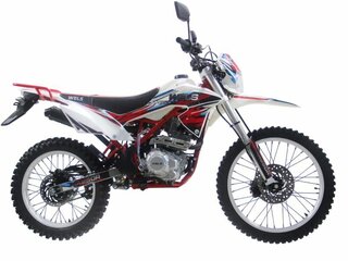 2026 Wels MX250R, белый, 113200 рублей, вид 1