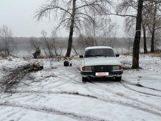 1994 ГАЗ 31029 «Волга», белый, 65000 рублей, вид 3