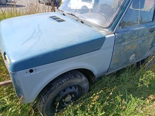 1994 Lada (ВАЗ) 2121 (4x4) I Рестайлинг, синий, 85000 рублей, вид 5
