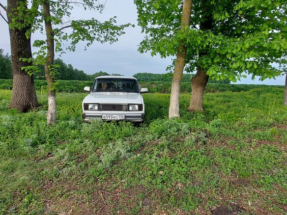 1999 LADA (ВАЗ) ВИС 2345, белый, 260000 рублей - вид 1
