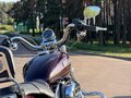 2007 Harley-Davidson Sportster 1200, коричневый, 565000 рублей - вид 2