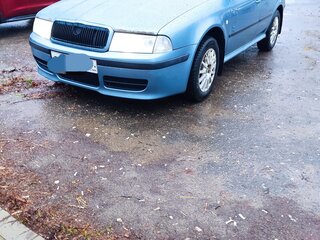 2007 Skoda Octavia I (A4) Рестайлинг, серый, 285000 рублей, вид 1