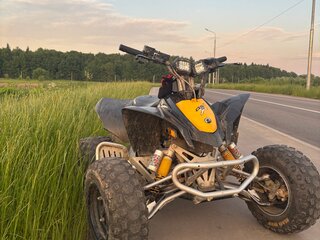 2014 BRP Can-Am DS 90, чёрный, 280000 рублей, вид 5