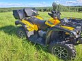 2021 Stels ATV-650YL Leopard, жёлтый, 525000 рублей - вид 4