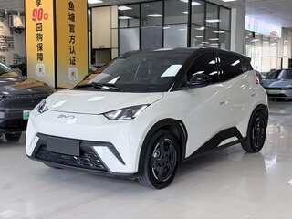 2023 BYD Seagull 38.88 kWh I, белый, 1110000 рублей, вид 1