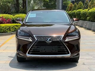 2019 Lexus NX 200 I Рестайлинг, коричневый, 2180000 рублей, вид 2