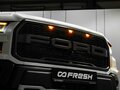 2020 Ford F-150 Raptor XIV, белый, 8900000 рублей - вид 6