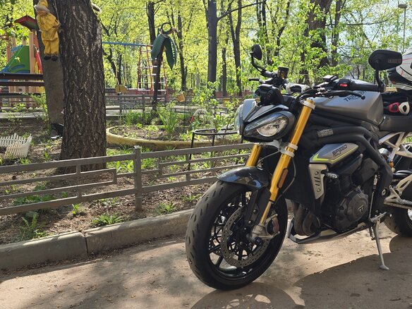 2021 Triumph Speed Triple, серый, 900000 рублей - вид 18