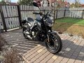2023 Regulmoto Alien Monster, чёрный, 330000 рублей