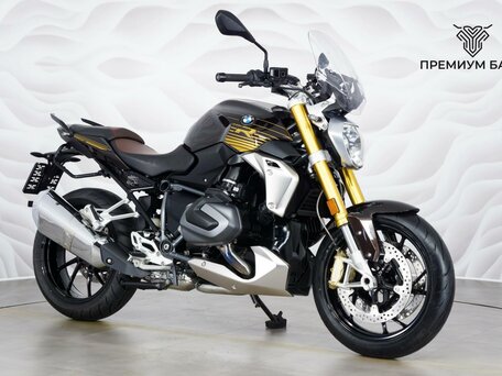 2019 BMW R 1250 R, коричневый, 1149000 рублей, вид 5