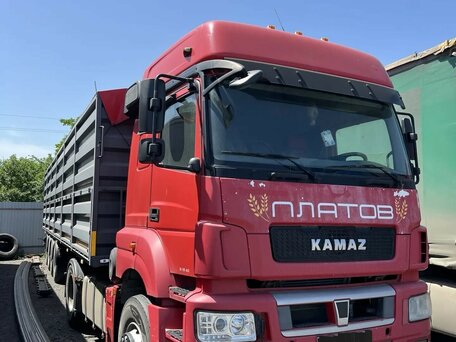 2016 КамАЗ 5490 NEO, красный, 3100000 рублей, вид 2