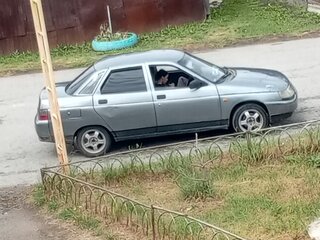 2005 Lada (ВАЗ) 2110, серый, 95000 рублей, вид 2