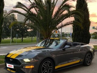 2018 Ford Mustang VI Рестайлинг, серый, 2320000 рублей, вид 2