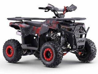 2026 Motax Grizlik, чёрный, 80800 рублей, вид 1