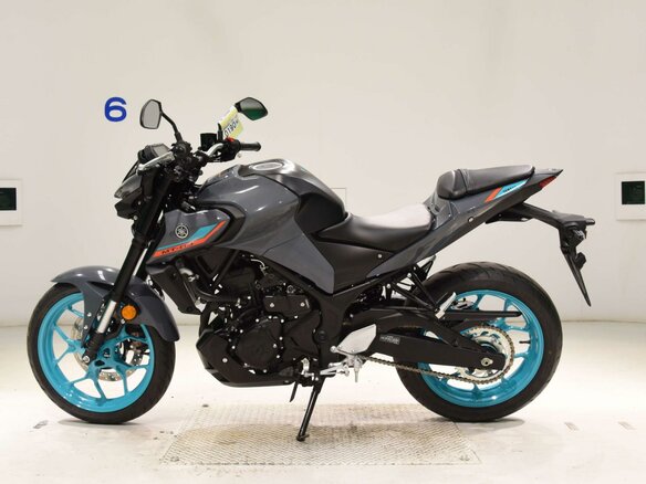 2024 Yamaha MT-03, серый, 595000 рублей