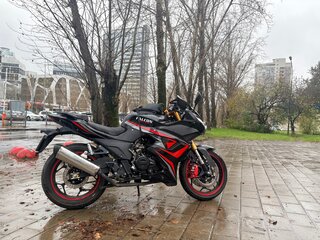 2024 Falcon SpeedFire, чёрный, 163000 рублей, вид 1