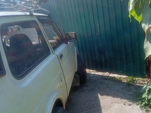 2010 Lada (ВАЗ) 2121 (4x4) I Рестайлинг, белый, 435000 рублей - вид 12