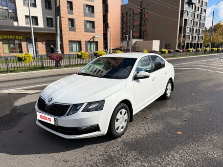 2019 Skoda Octavia III (A7) Рестайлинг, белый, 1080000 рублей, вид 4