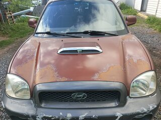 2001 Hyundai Santa Fe I, коричневый, 295000 рублей, вид 5