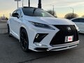 2020 Lexus RX 300 IV Рестайлинг, белый, 4950000 рублей - вид 2