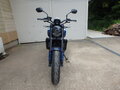 2026 Triumph Trident 660, чёрный, 1050000 рублей - вид 1