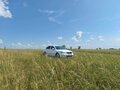 2012 Skoda Octavia II (A5) Рестайлинг, белый, 1100000 рублей - вид 4